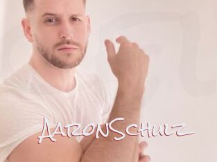 AaronSchulz