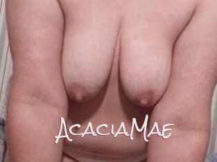 AcaciaMae