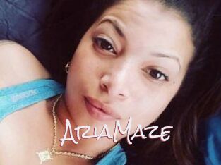 Aria_Maze