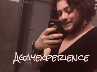 Agayexperience