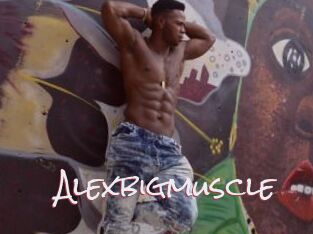 Alexbigmuscle