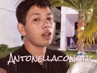 Antonellaconors