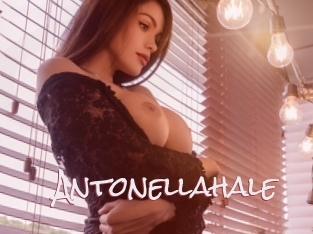 Antonellahale