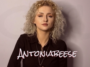 Antoniabeese