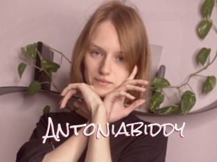 Antoniabiddy