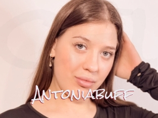 Antoniabuff