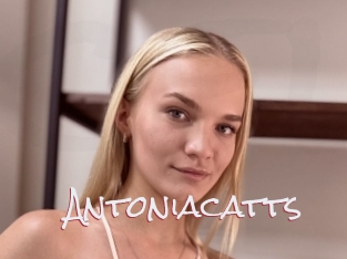 Antoniacatts