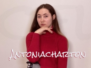 Antoniacharton