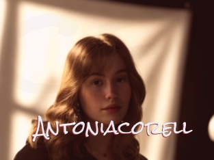 Antoniacorell
