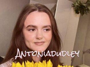 Antoniadudley