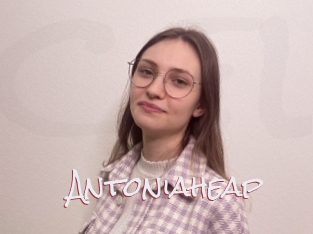 Antoniaheap