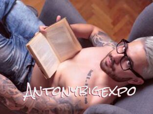 Antonybigexpo