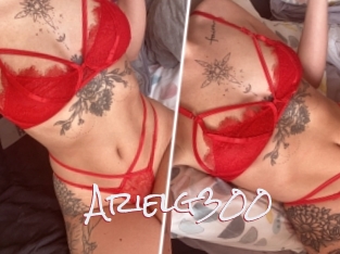 Arielg300