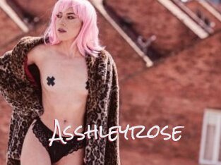 Asshleyrose