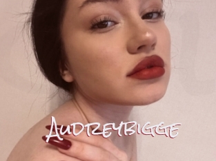 Audreybigge