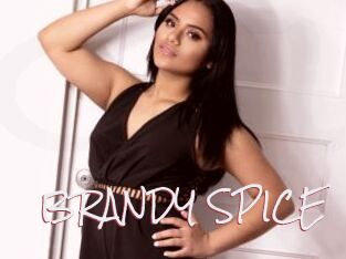 BRANDY_SPICE