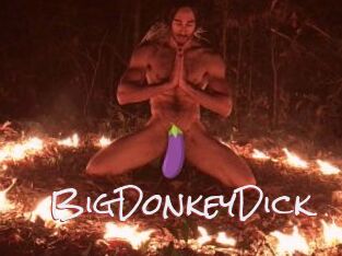 BigDonkeyDick