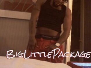 BigLittlePackage