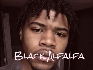 Black_Alfalfa