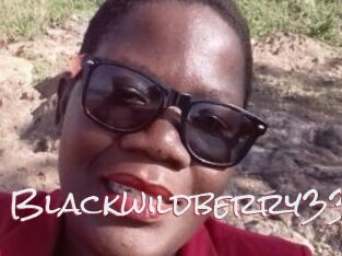 Blackwildberry33