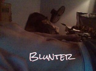 Blunter