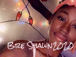 Bre_Shawn2020