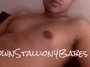 BrownStallion4Babes