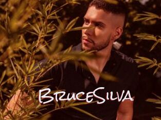 BruceSilva