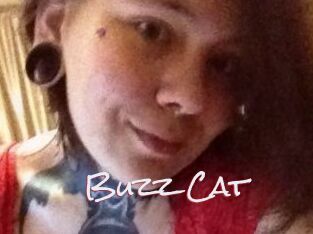 Buzz_Cat