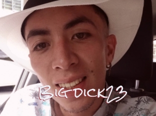 Big_dick23