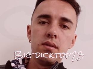 Big_dicktop23