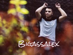 Bigassalex