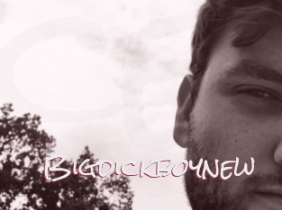 Bigdickboynew