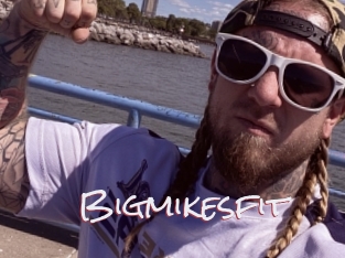 Bigmikesfit