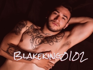 Blakeking0102