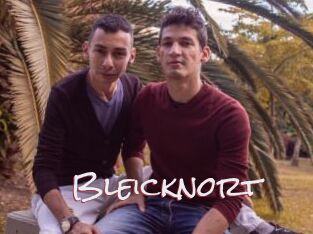 Bleicknort