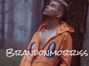 Brandonmorriss