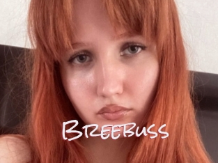 Breebuss