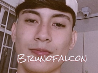 Brunofalcon