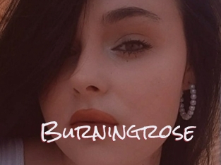 Burningrose