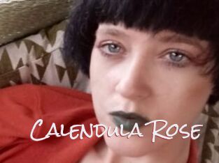 Calendula_Rose