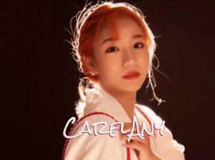 CarelAny