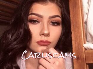 Carliscams
