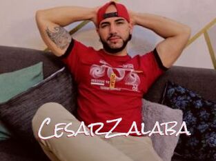 CesarZalaba