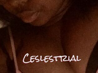 Ceslestrial