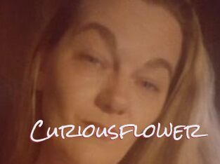 Curiousflower