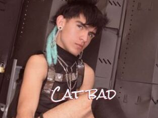 Cat_bad