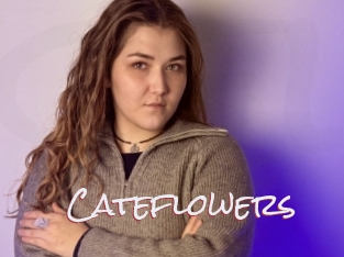 Cateflowers