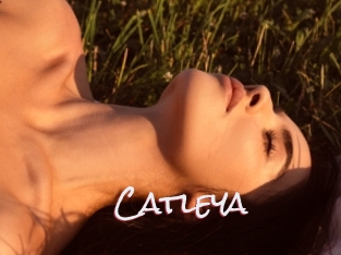 Catleya