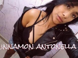 Cinnamon_antonella